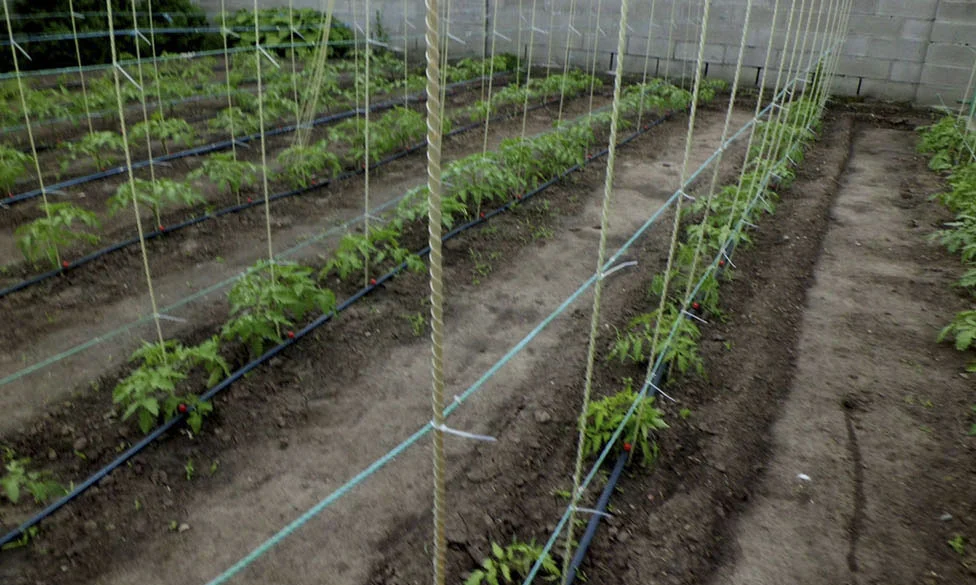 Колышки из стеклопластиковой арматуры, 10мм 1м