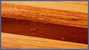 Паркетные лаки